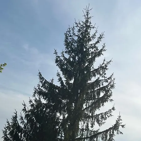 Pensiune agroturistice Pensiunea Eden *