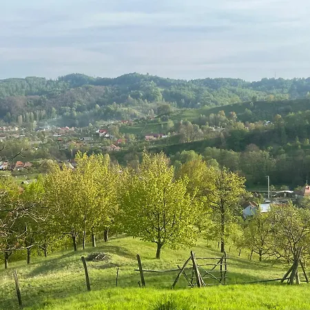Pensiunea Eden *